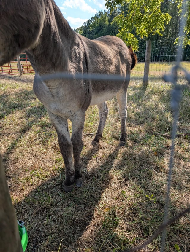 Cheezburger Image 10611512832