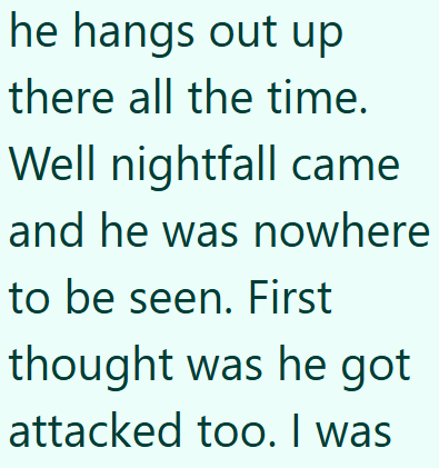 he hangs out up there all the time. Well nightfall came and he was nowhere to be seen. First thought was he got attacked too. I was