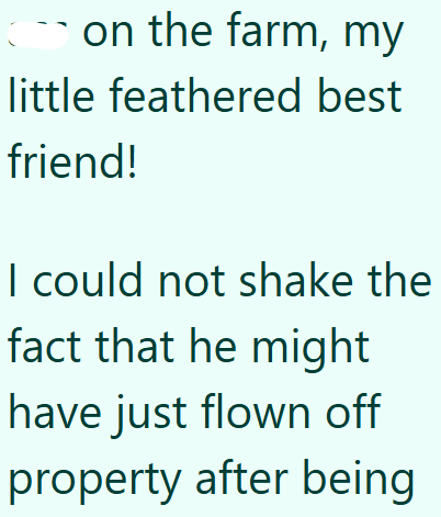 Con the farm, my little feathered best friend! I could not shake the fact that he might have just flown off property after being