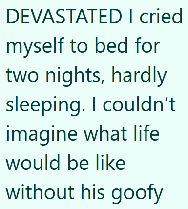 DEVASTATED I cried myself to bed for two nights, hardly sleeping. I couldn't imagine what life would be like without his goofy