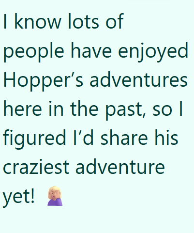 I know lots of people have enjoyed Hopper's adventures here in the past, so I figured I'd share his craziest adventure yet! *
