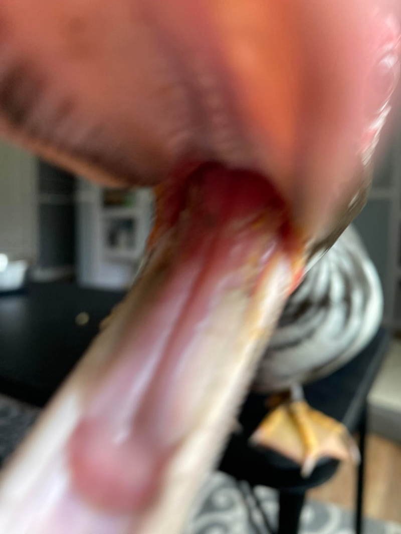 Cheezburger Image 10611518720