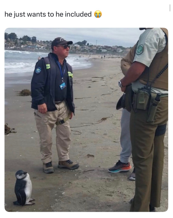 he just wants to he included