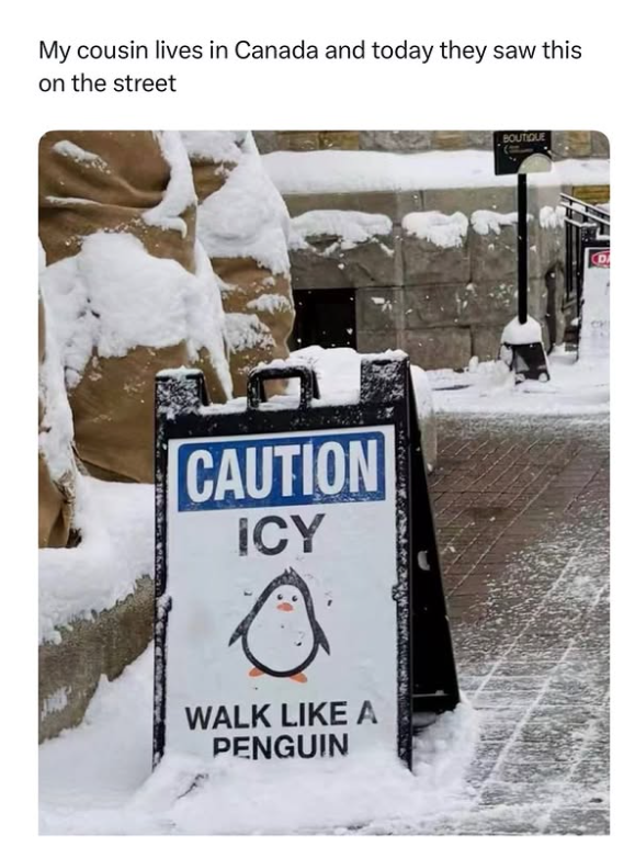 My cousin lives in Canada and today they saw this on the street CAUTION ICY WALK LIKE A PENGUIN BOUTIQUE CDA