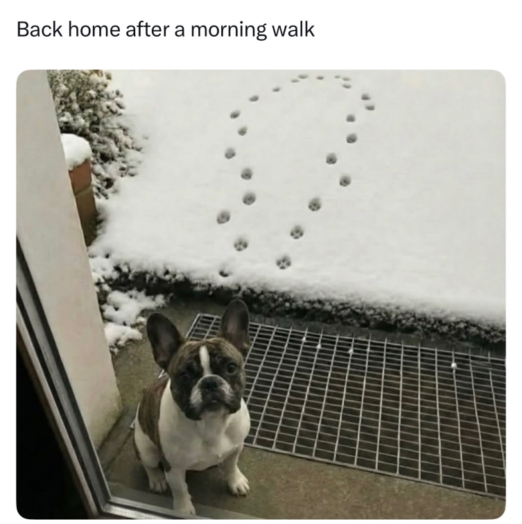 Back home after a morning walk