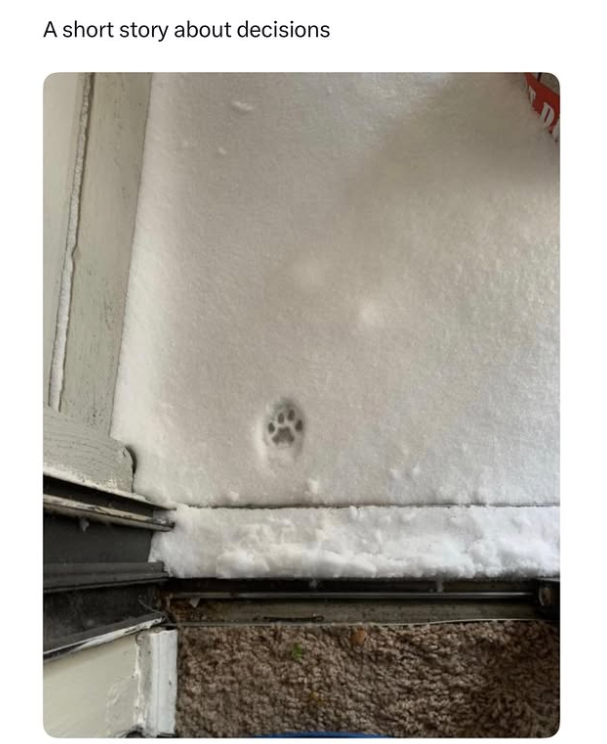 A short story about decisions