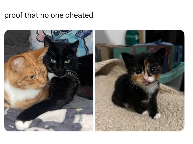 proof that no one cheated