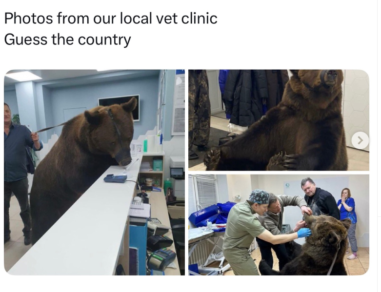 Photos from our local vet clinic Guess the country >
