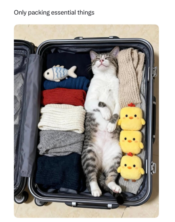 Only packing essential things