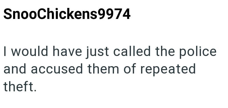 SnooChickens9974 I would have just called the police and accused them of repeated theft.