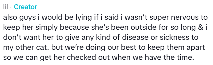 lil • Creator also guys i would be lying if i said i wasn't super nervous to keep her simply because she's been outside for so long & i don't want her to give any kind of disease or sickness to my other cat. but we're doing our best to keep them apart so we can get her checked out when we have the time.