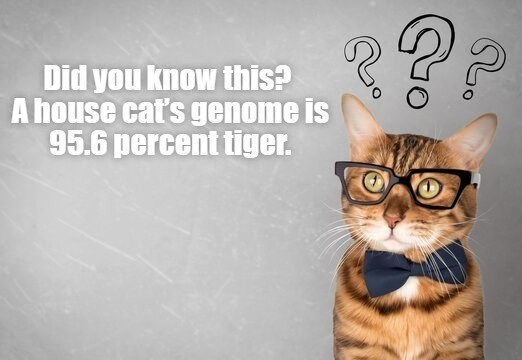 Cheezburger Image 10611538688