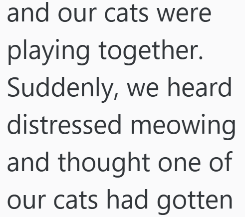 Cheezburger Image 10611541760