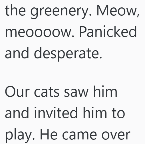 Cheezburger Image 10611542272