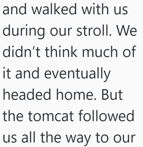 Cheezburger Image 10611543040