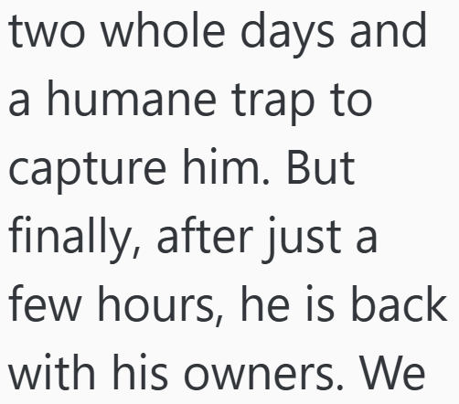 Cheezburger Image 10611544064