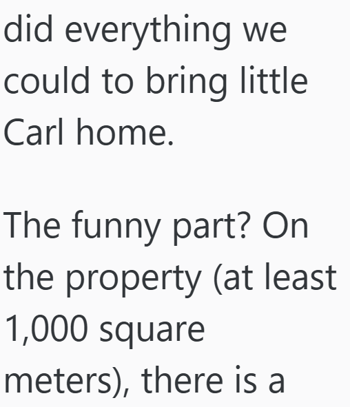 Cheezburger Image 10611544576