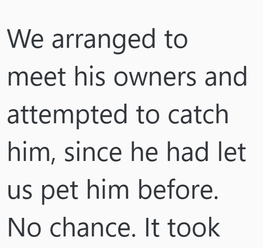 Cheezburger Image 10611545088