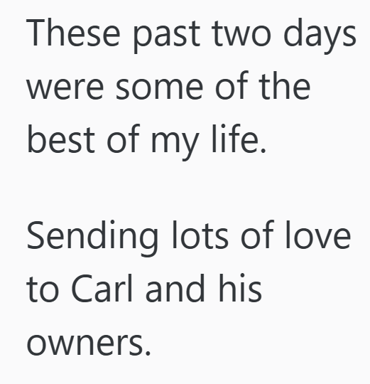 Cheezburger Image 10611546368