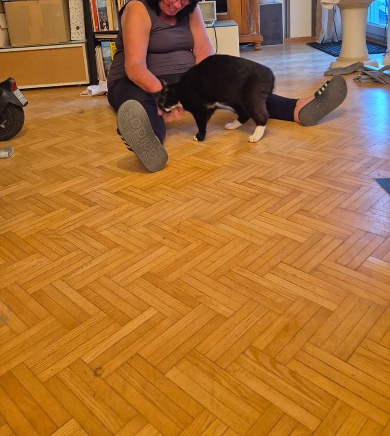 Cheezburger Image 10611546880