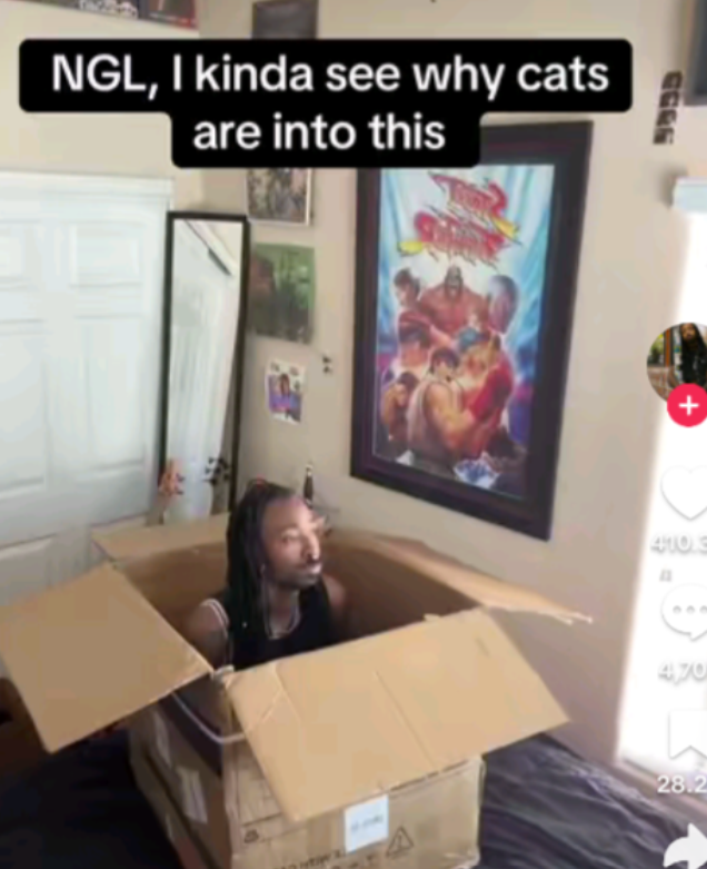 NGL, I kinda see why cats are into this A 410.3 470 28.2 + 5933