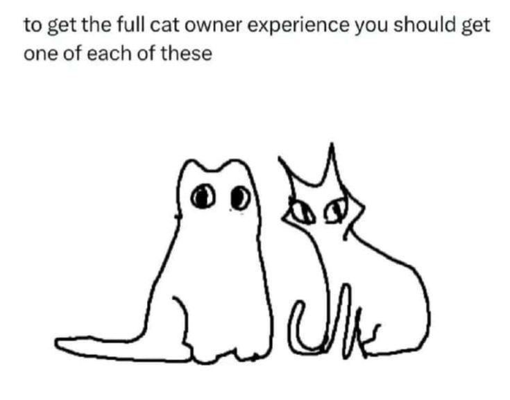 to get the full cat owner experience you should get one of each of these