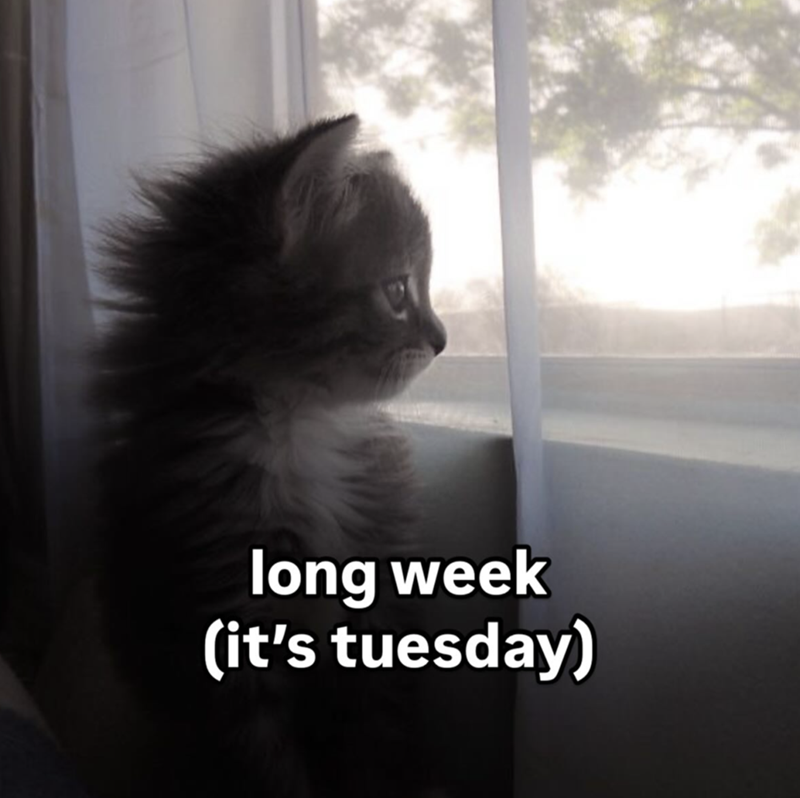 long week (it's tuesday)