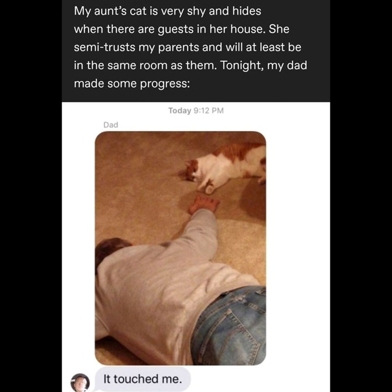 My aunt's cat is very shy and hides when there are guests in her house. She semi-trusts my parents and will at least be in the same room as them. Tonight, my dad made some progress: Today 9:12 PM Dad It touched me.