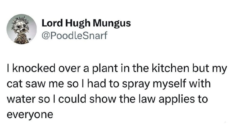 Lord Hugh Mungus @PoodleSnarf I knocked over a plant in the kitchen but my cat saw me so I had to spray myself with water so I could show the law applies to everyone