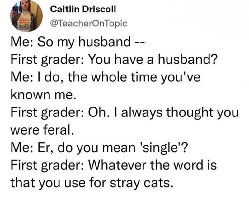 Caitlin Driscoll @TeacherOnTopic Me: So my husband -- First grader: You have a husband? Me: I do, the whole time you've known me. First grader: Oh. I always thought you were feral. Me: Er, do you mean 'single'? First grader: Whatever the word is that you use for stray cats.