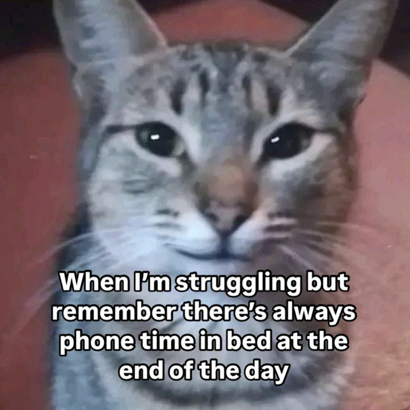 When I'm struggling but remember there's always phone time in bed at the end of the day