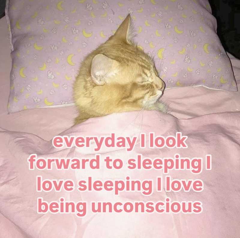 everyday I look forward to sleeping | love sleeping I love being unconscious