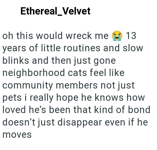 Ethereal_Velvet oh this would wreck me 13 years of little routines and slow blinks and then just gone neighborhood cats feel like community members not just pets i really hope he knows how loved he's been that kind of bond doesn't just disappear even if he moves