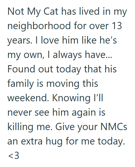 Not My Cat has lived in my neighborhood for over 13 years. I love him like he's my own, I always have... Found out today that his family is moving this weekend. Knowing I'll never see him again is killing me. Give your NMCs an extra hug for me today. <3