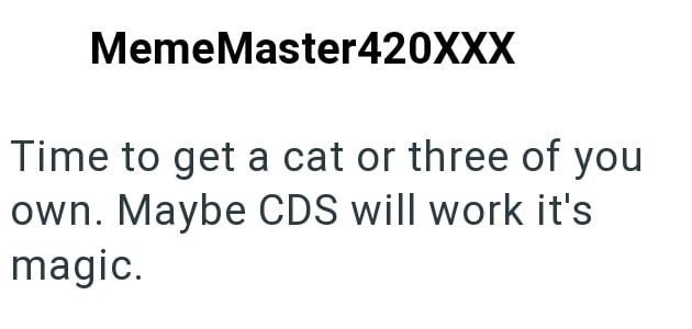 MemeMaster420XXX Time to get a cat or three of you own. Maybe CDS will work it's magic.