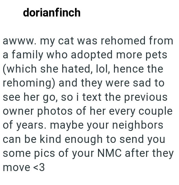 dorianfinch awww. my cat was rehomed from a family who adopted more pets (which she hated, lol, hence the rehoming) and they were sad to see her go, so i text the previous owner photos of her every couple of years. maybe your neighbors can be kind enough to send you some pics of your NMC after they move <3