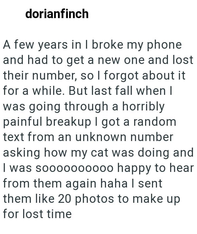 dorianfinch A few years in I broke my phone and had to get a new one and lost their number, so I forgot about it for a while. But last fall when I was going through a horribly painful breakup I got a random text from an unknown number asking how my cat was doing and I was soooooooooo happy to hear from them again haha I sent them like 20 photos to make up for lost time