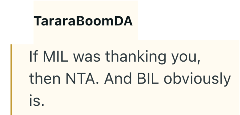 TararaBoomDA If MIL was thanking you, then NTA. And BIL obviously is.