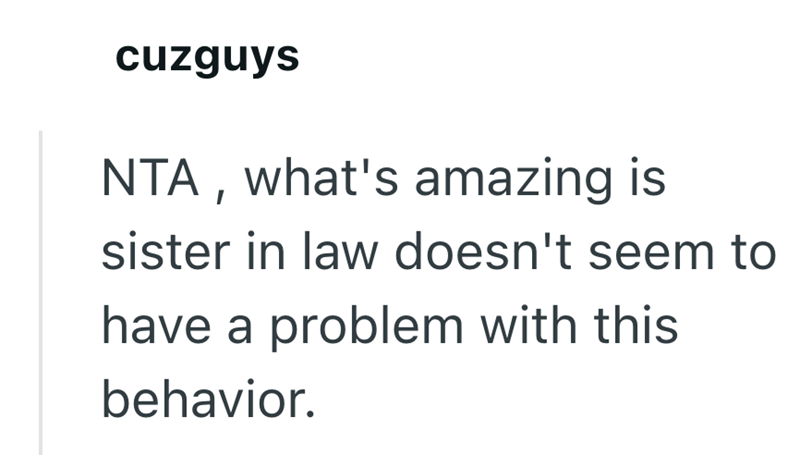 cuzguys NTA, what's amazing is sister in law doesn't seem to have a problem with this behavior.