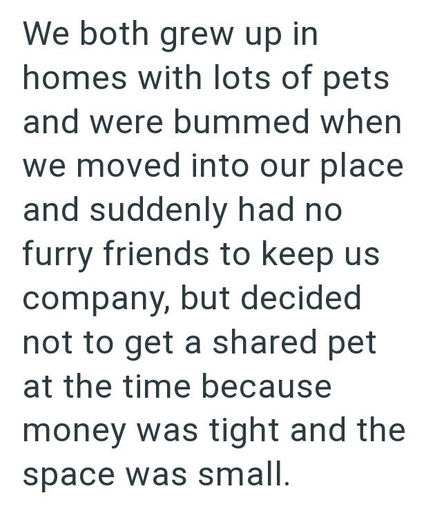 We both grew up in homes with lots of pets and were bummed when we moved into our place and suddenly had no furry friends to keep us company, but decided not to get a shared pet at the time because money was tight and the space was small.