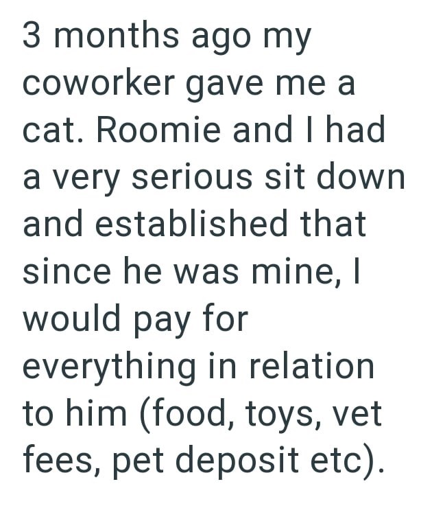 3 months ago my coworker gave me a cat. Roomie and I had a very serious sit down and established that since he was mine, I would pay for everything in relation to him (food, toys, vet fees, pet deposit etc).
