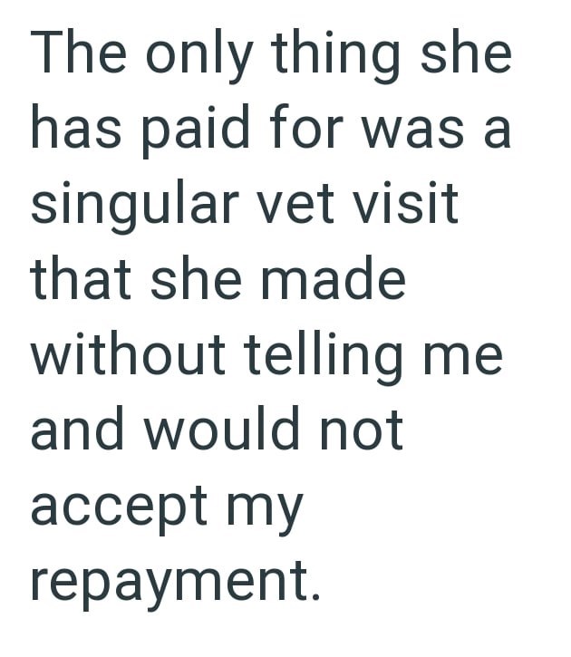 The only thing she has paid for was a singular vet visit that she made without telling me and would not accept my repayment.