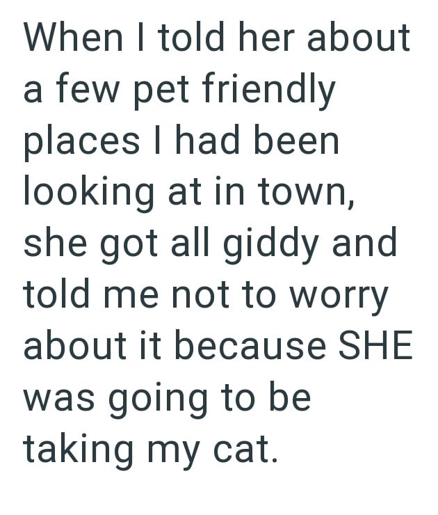 When I told her about a few pet friendly places I had been looking at in town, she got all giddy and told me not to worry about it because SHE was going to be taking my cat.
