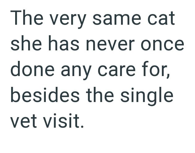 The very same cat she has never once done any care for, besides the single vet visit.