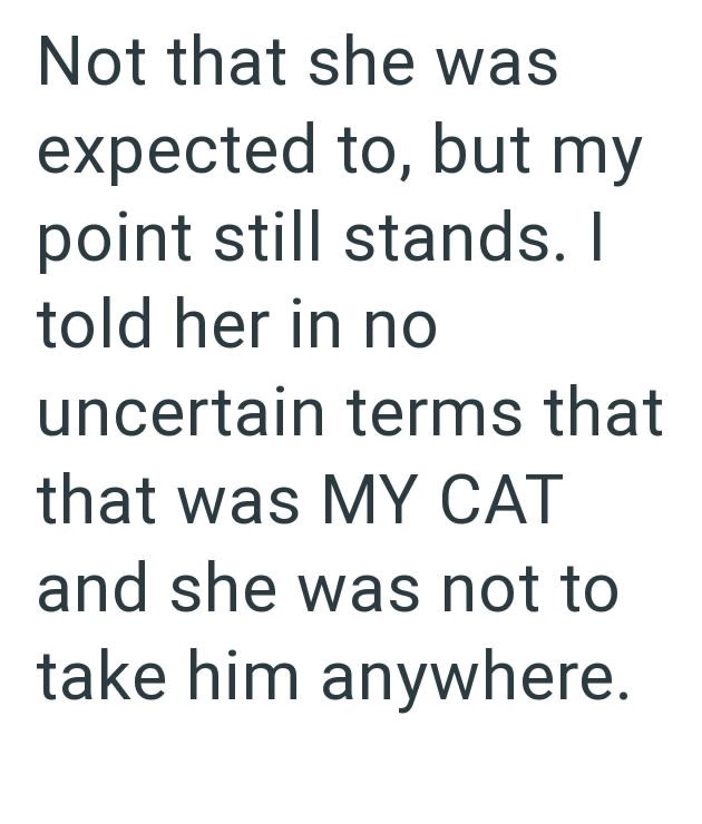 Not that she was expected to, but my point still stands. I told her in no uncertain terms that that was MY CAT and she was not to take him anywhere.