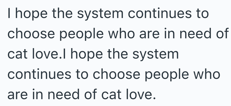 I hope the system continues to choose people who are in need of cat love.I hope the system continues to choose people who are in need of cat love.