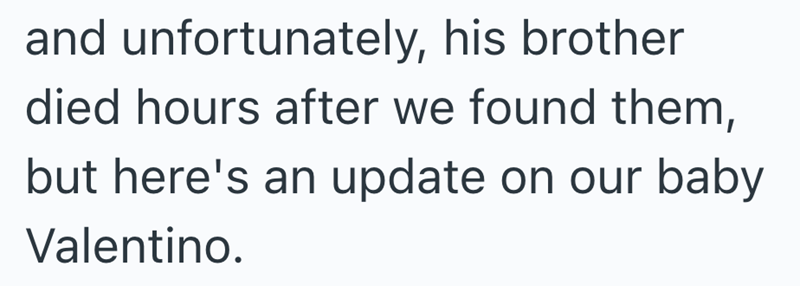 and unfortunately, his brother died hours after we found them, but here's an update on our baby Valentino.