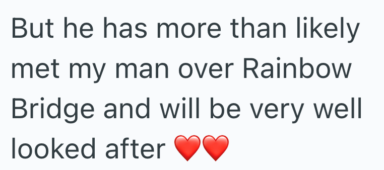 But he has more than likely met my man over Rainbow Bridge and will be very well looked after