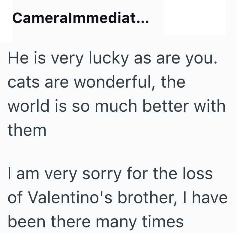 Cameralmmediat... He is very lucky as are you. cats are wonderful, the world is so much better with them I am very sorry for the loss of Valentino's brother, I have been there many times