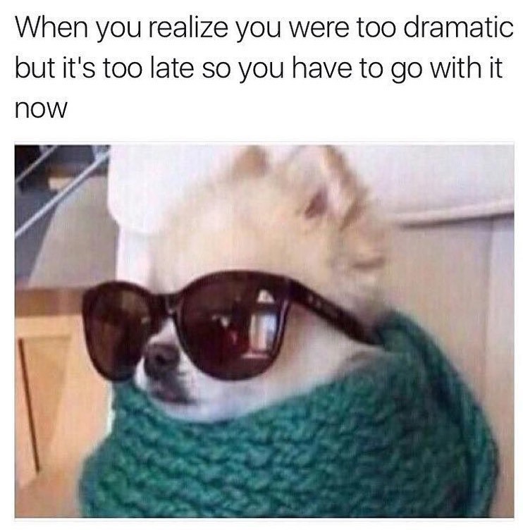 When you realize you were too dramatic but it's too late so you have to go with it now
